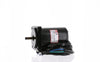 ARCO NEW Premium Replacement Tilt Trim Motor for Yamaha 67F-43880-00 - 6261